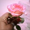 fahim09269
