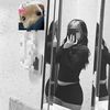 star_lol01