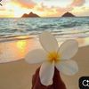 erzhankyzy_2222