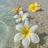 everydayisanewoportunid5