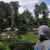 nuri.rahmawati02