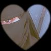 __alaahendawy_