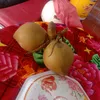 hoatuan253