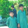 gul.mina8