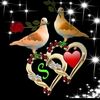 farhan.ali6306