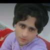 wasim_gull0