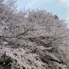 joi2098