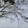 user294122172