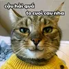 hiu.nguyn9976