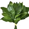 bacaynenhong0