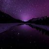 lilax_2461