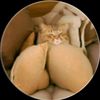 .oke1234
