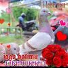 doni76551