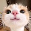 hashan.buddhika3