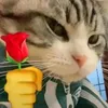 khoahaa_10