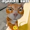hamzz999._