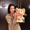 angeliut_chemica