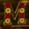 mosa57.m1p