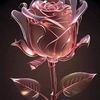 zahiidkhann123
