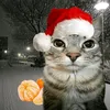 kirieshky_mzlff