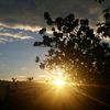 malz_022