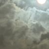 .y7zp