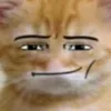 stabucat
