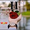 online1pic