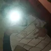 zan4ox