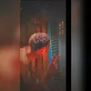 alaa_altemsah2003