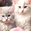 meow123987