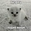 rebzyyxzxc