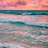 shannon_urfave