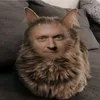fenomenoquimico