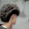 user29632739030528