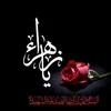 user204767622254