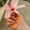 imaneim936