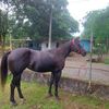 martin080365