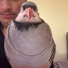 xxderpydjxx