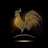 gallito6176