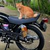 herilambar9370