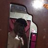 stiven_castro17