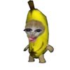 yolanda_50.5