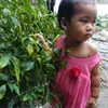 vn.mai.anh.vn
