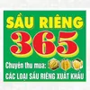 saurieng365