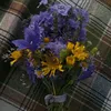 feksbek_5285