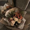 _dilwins5_