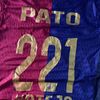 pato221_