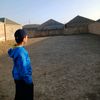 bineqedii_56