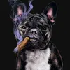 top_dog_g